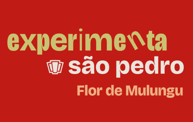 Experimenta Flor de Mulungu